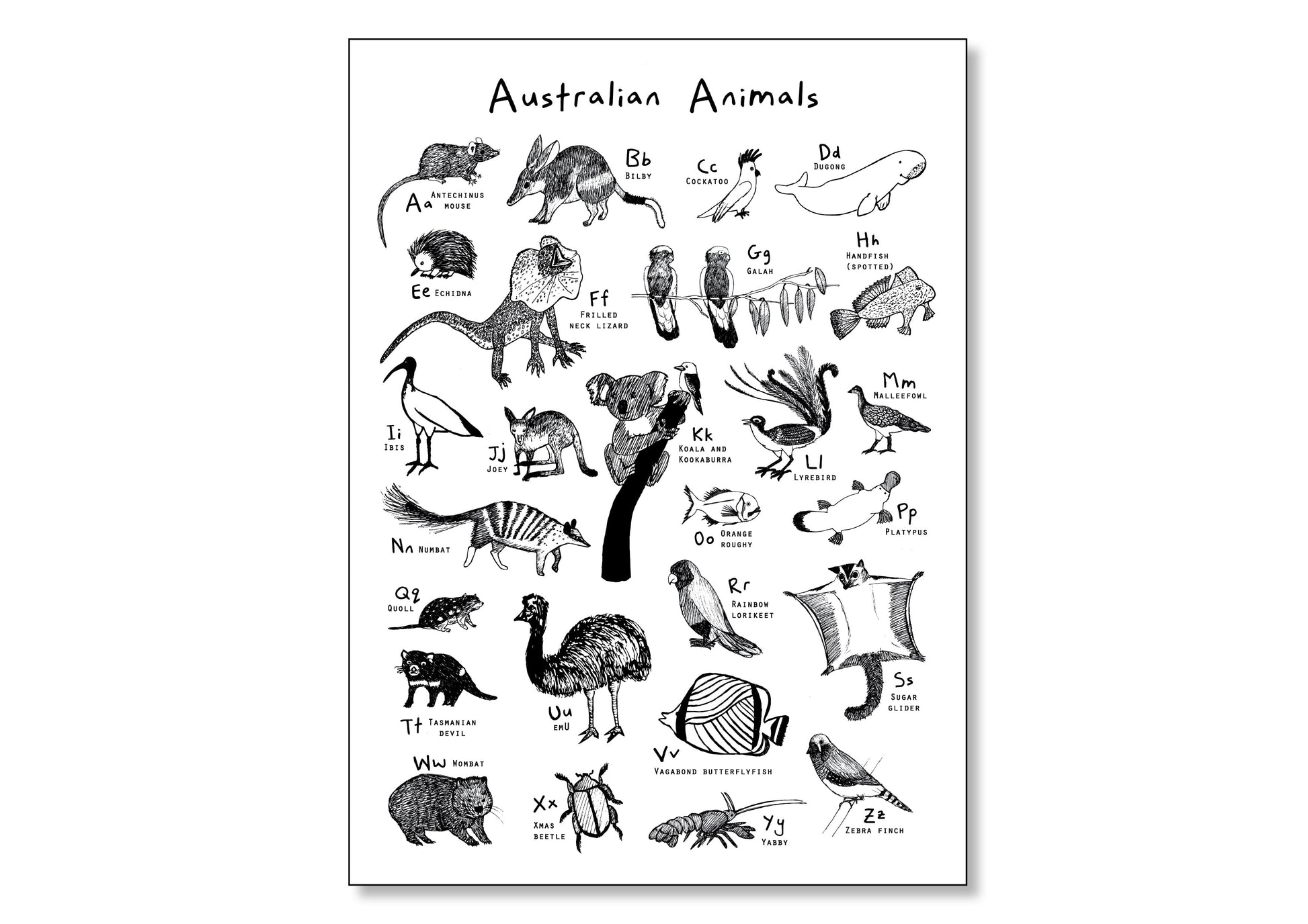 Animals A-Z (A2 Poster)