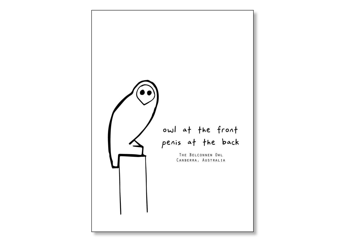 Belconnen Owl (A4 Poster)