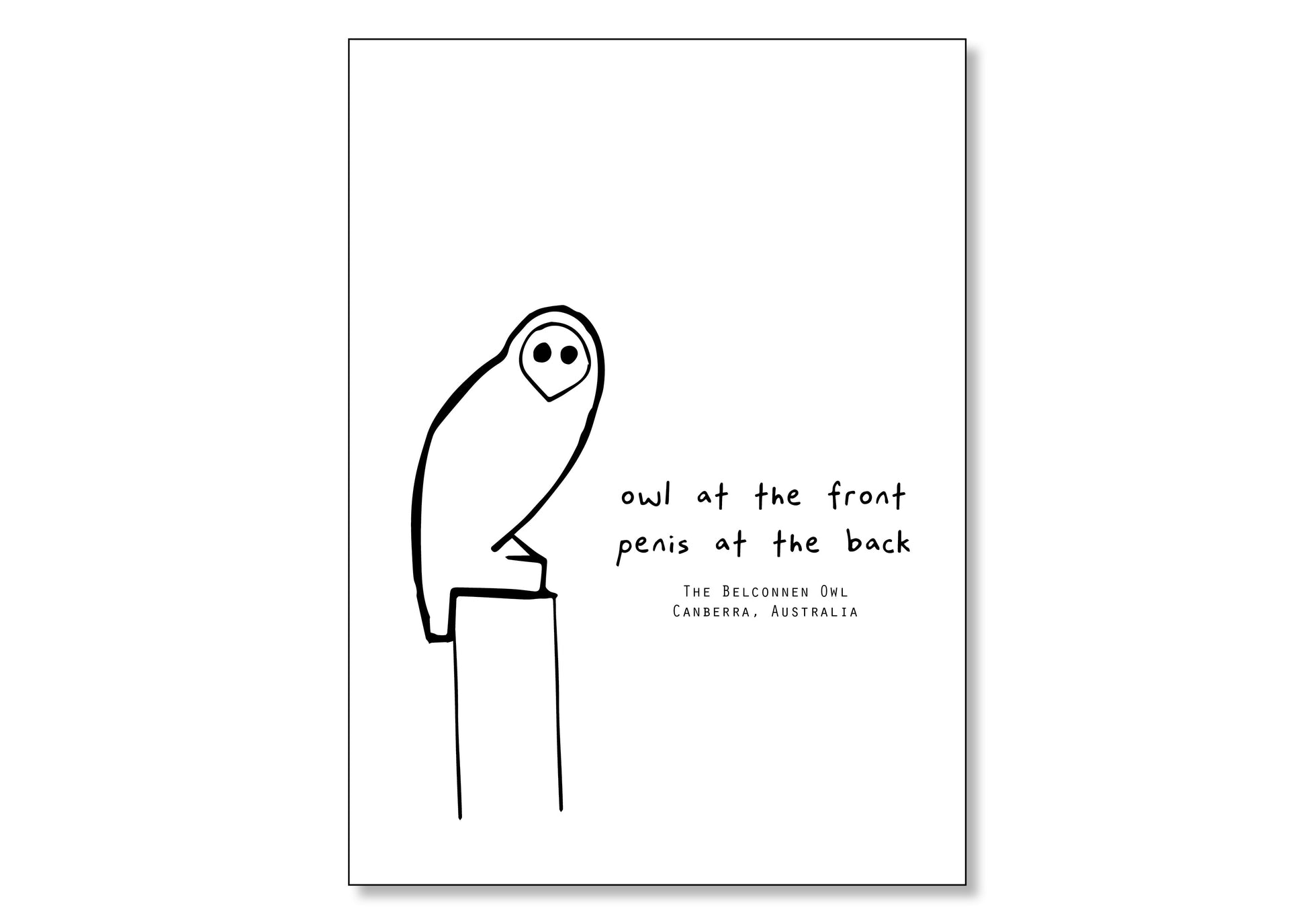 Belconnen Owl (A4 Poster)