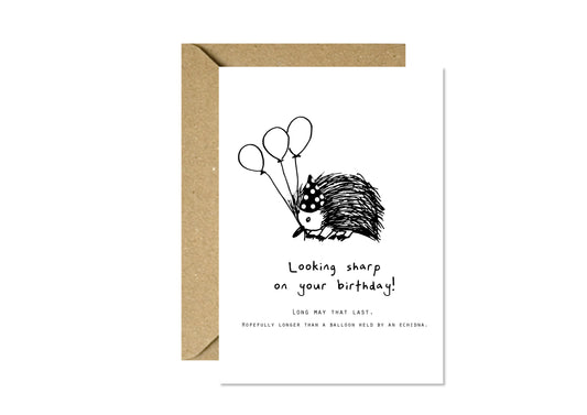 Echidna Sharp Birthday